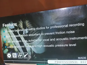Professional Condenser Microphone Stage Microphone