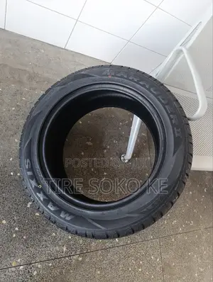 235/55r18 Maxxis Ma-S2