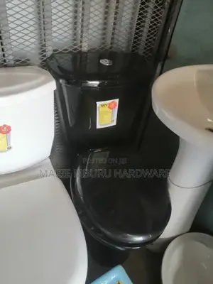 Black Toilet Seat Available