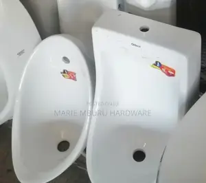 Urinal Bowl Available