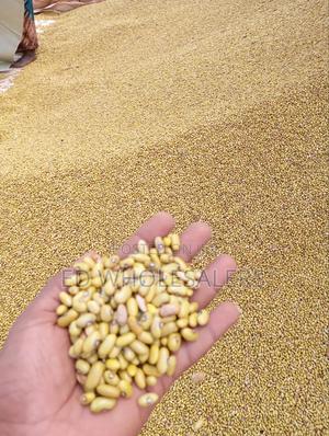 Yellow Beans - thumbnail 2