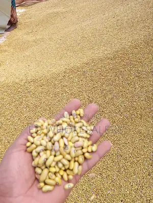 Yellow Beans