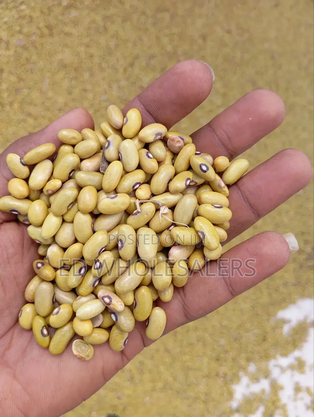 Yellow Beans