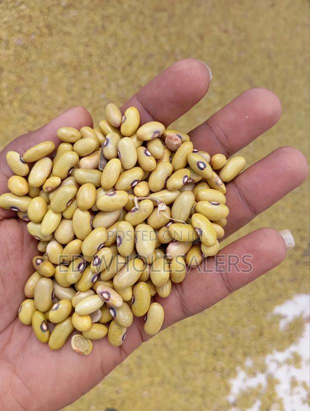 Yellow Beans - thumbnail 3