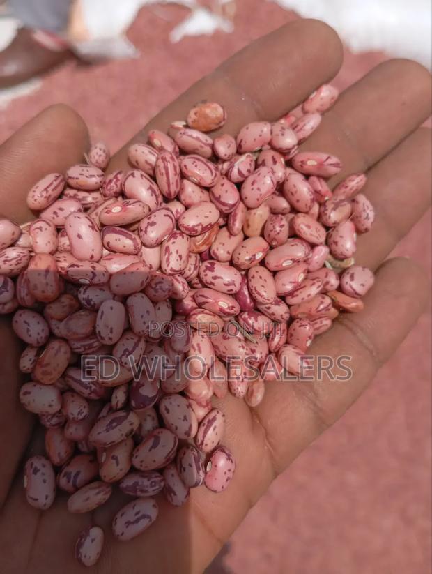 Rose Coco Ndogo - main view