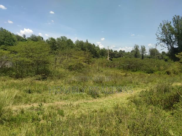 Eighth Acre Plot in Kerarapon Ngong, Touching Tarmac - thumbnail 5