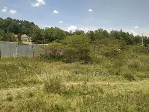 Residential Quarter Acre Plot in Kerarapon Ngong Near Tarmac