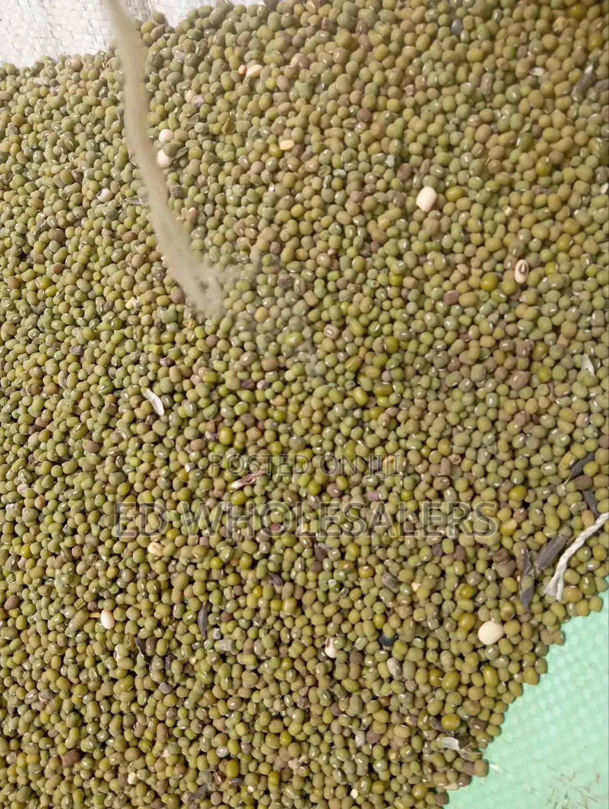 Green Grams