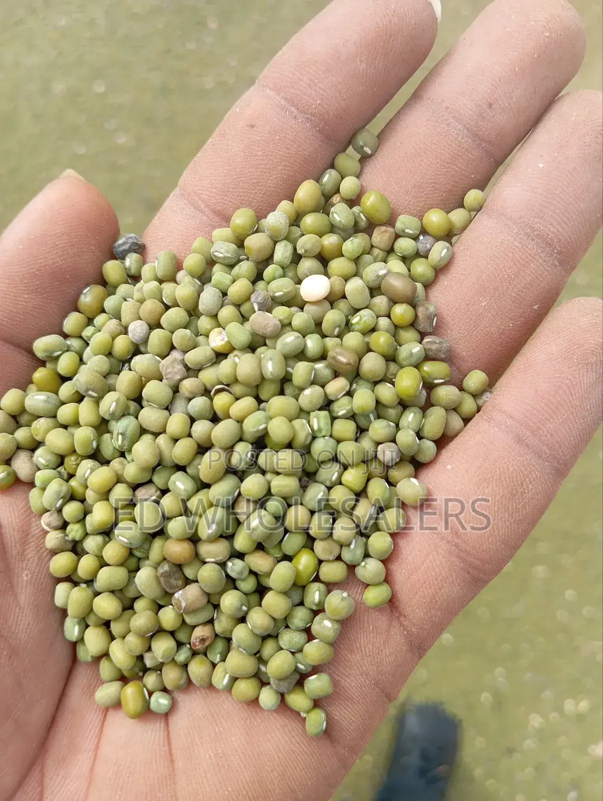Green Grams