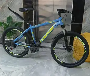 Bike Size 24'
