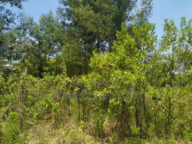Residential Eighth Acre Plot in Kerarapon, Ngong. Red Soil - thumbnail 3