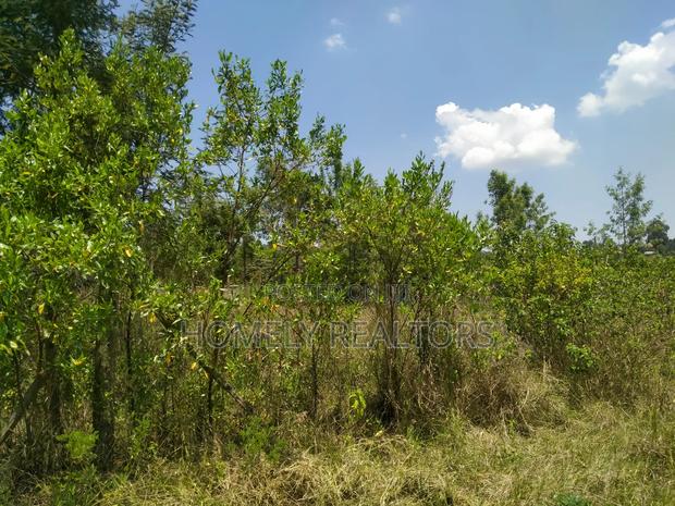 Residential Eighth Acre Plot in Kerarapon, Ngong. Red Soil - thumbnail 4