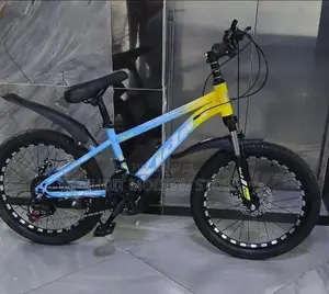 Bike Size 20 With Gear