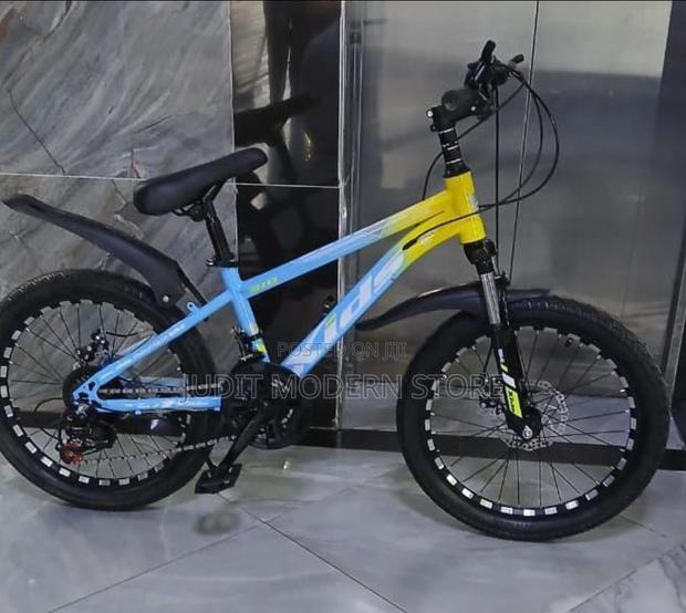 Bike Size 20 With Gear