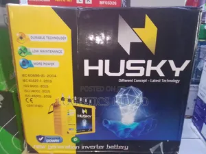 Husky 250 Ah 12 v Tall Tubular