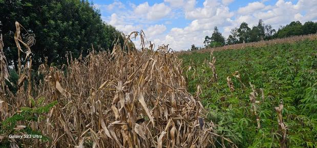 1⁄8 Plot for Sale in Soy Eldoret Off Navilas - main view