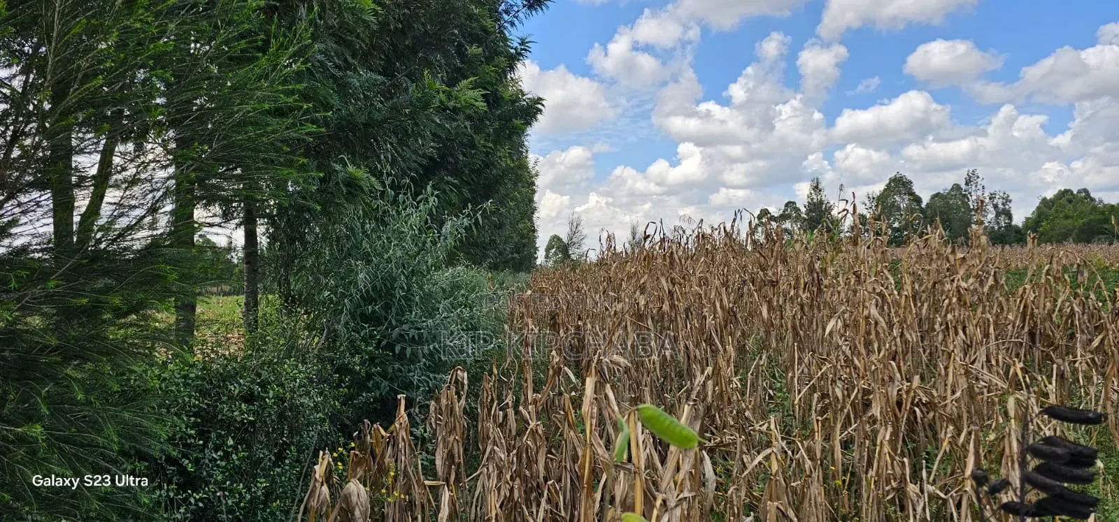 1⁄8 Plot for Sale in Soy Eldoret Off Navilas