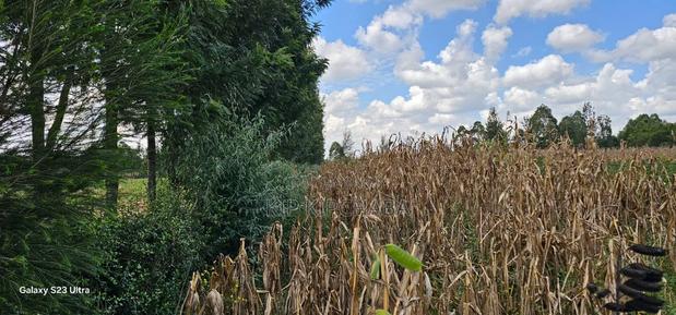 1⁄8 Plot for Sale in Soy Eldoret Off Navilas - thumbnail 3