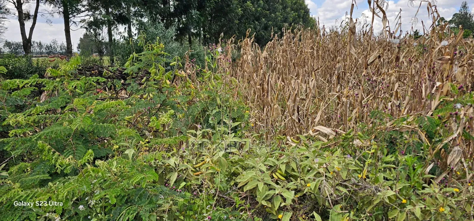 1⁄8 Plot for Sale in Soy Eldoret Off Navilas