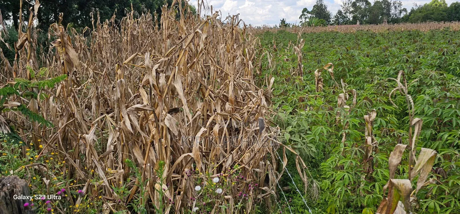 1⁄8 Plot for Sale in Soy Eldoret Off Navilas