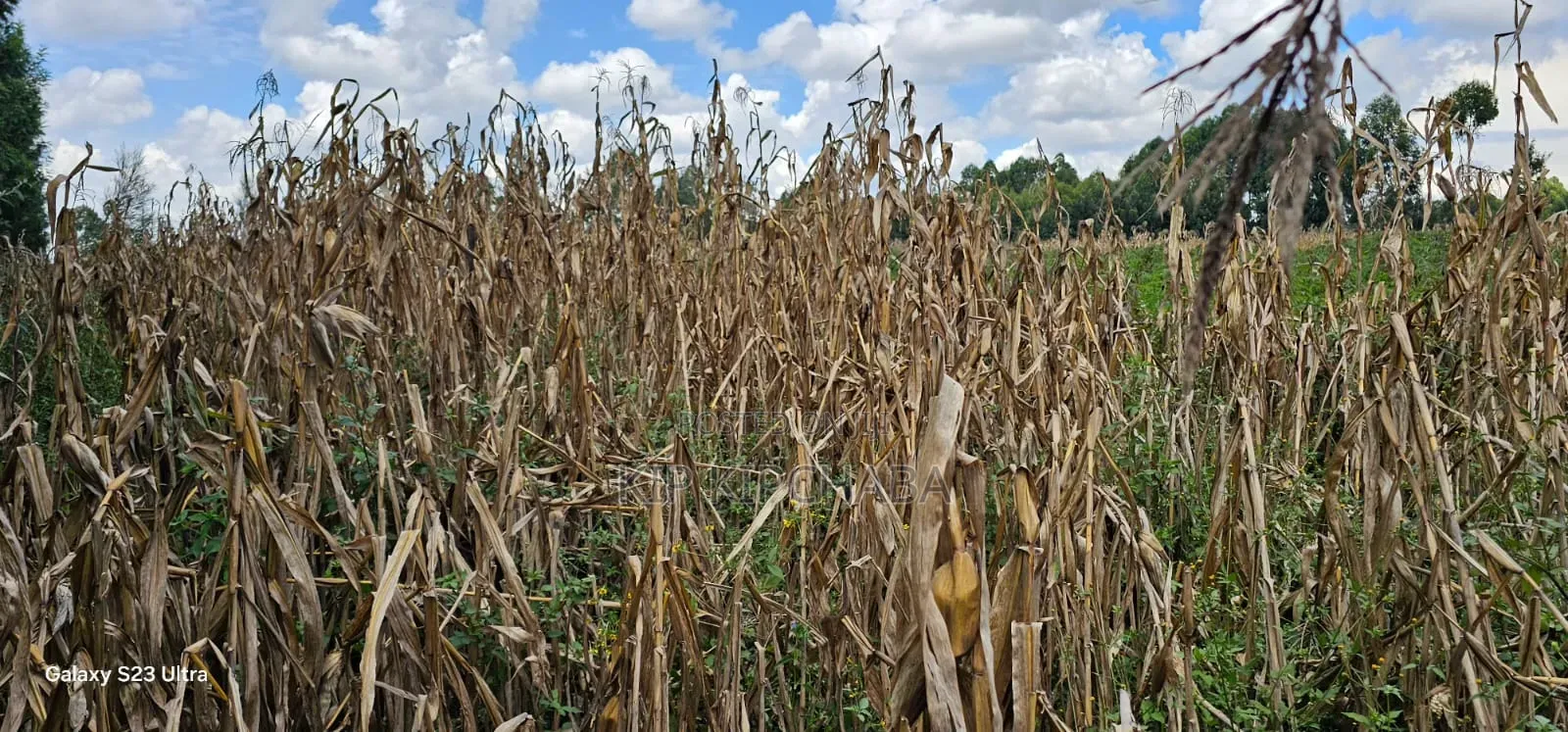 1⁄8 Plot for Sale in Soy Eldoret Off Navilas