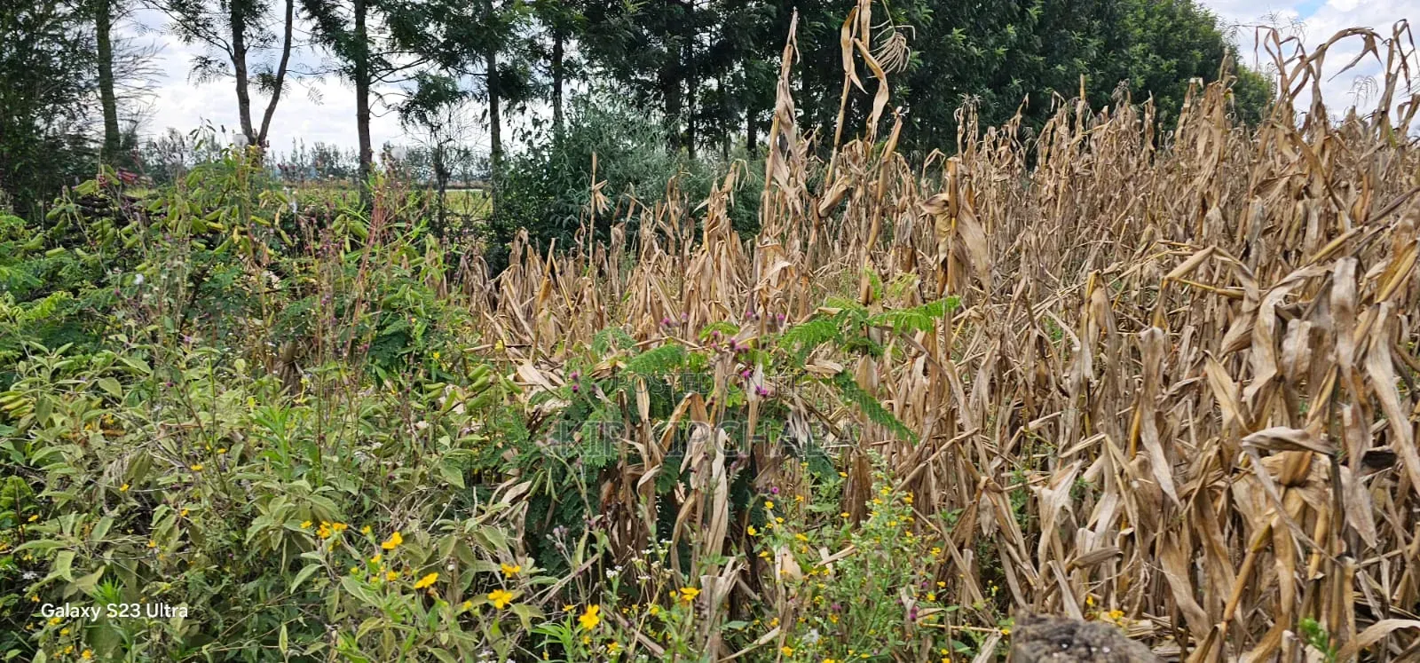 1⁄8 Plot for Sale in Soy Eldoret Off Navilas