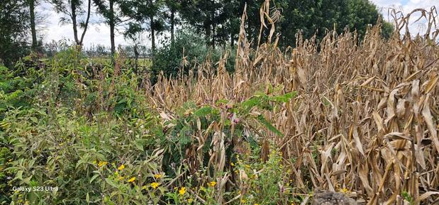 1⁄8 Plot for Sale in Soy Eldoret Off Navilas - thumbnail 10