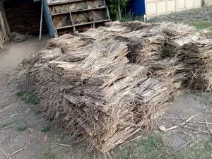 Makuti Roofing From Coast