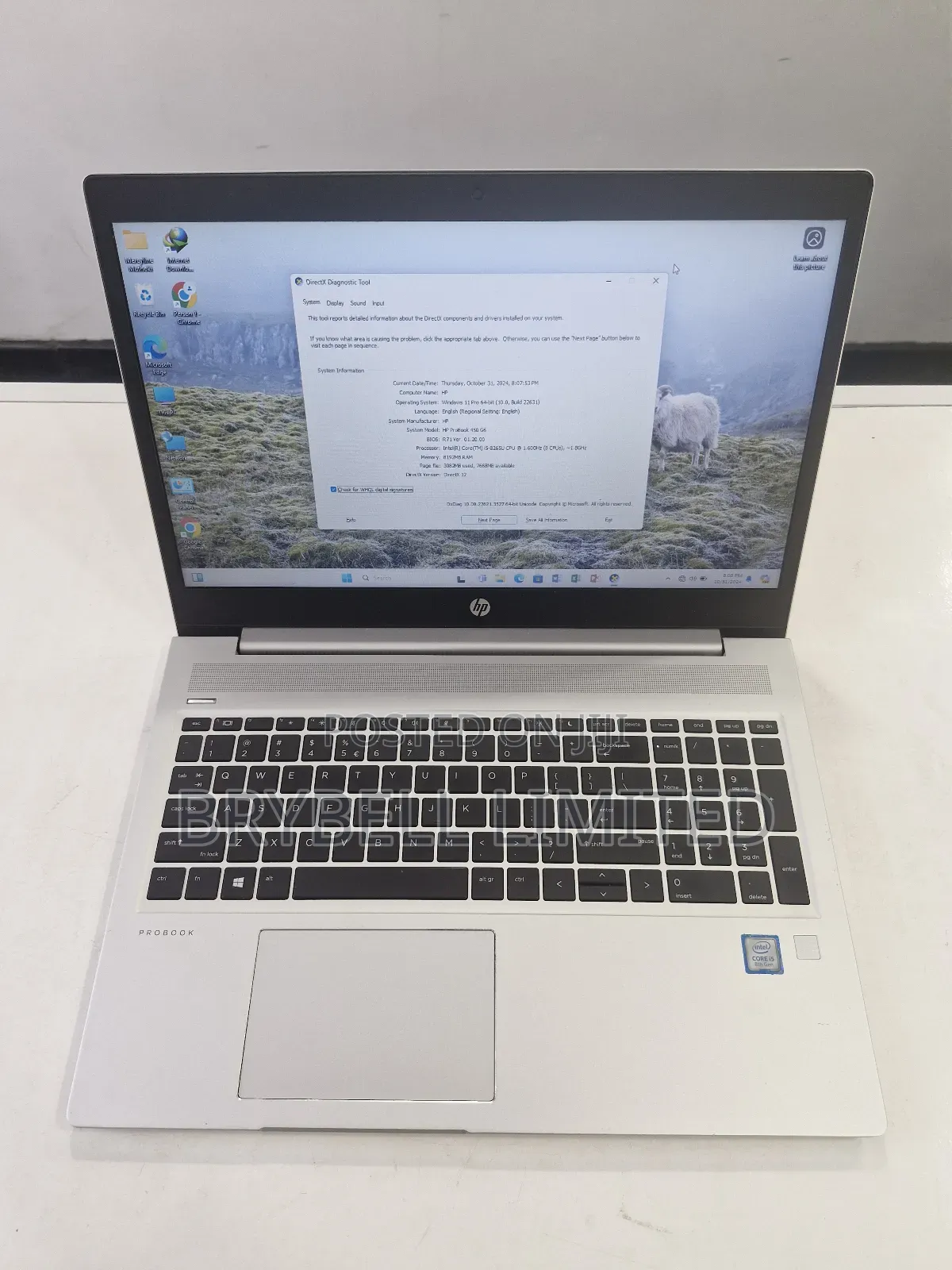 Laptop HP ProBook 450 G6 8GB Intel Core i5 SSD 500GB