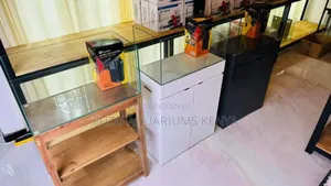 Aquarium With Cabinets 2feet Wide