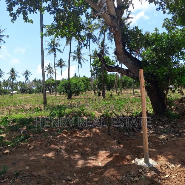 Chumani Kilifi 50 by 100 Ft Plots - thumbnail 6