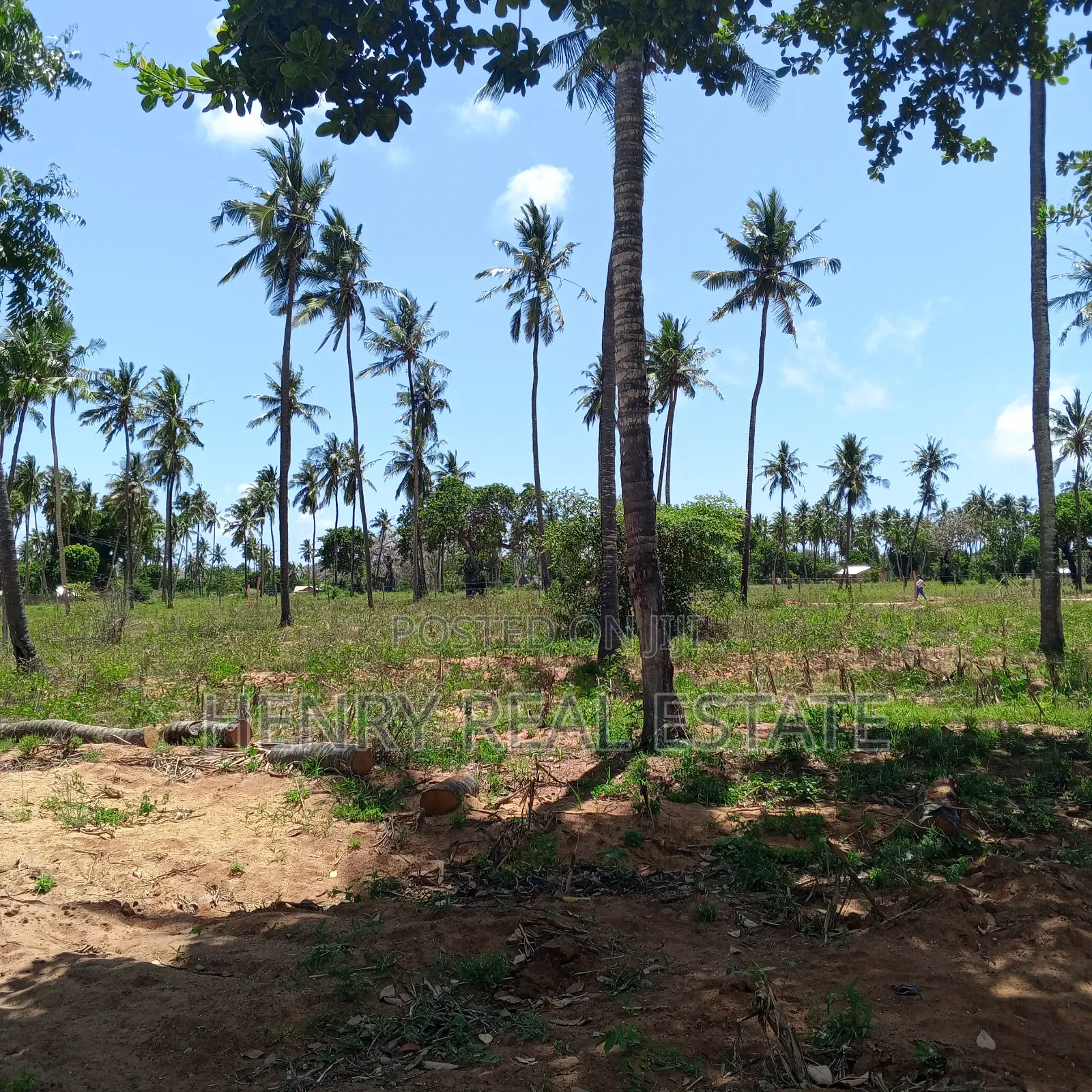Chumani Kilifi 50 by 100 Ft Plots