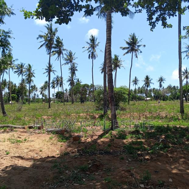 Chumani Kilifi 50 by 100 Ft Plots - thumbnail 9
