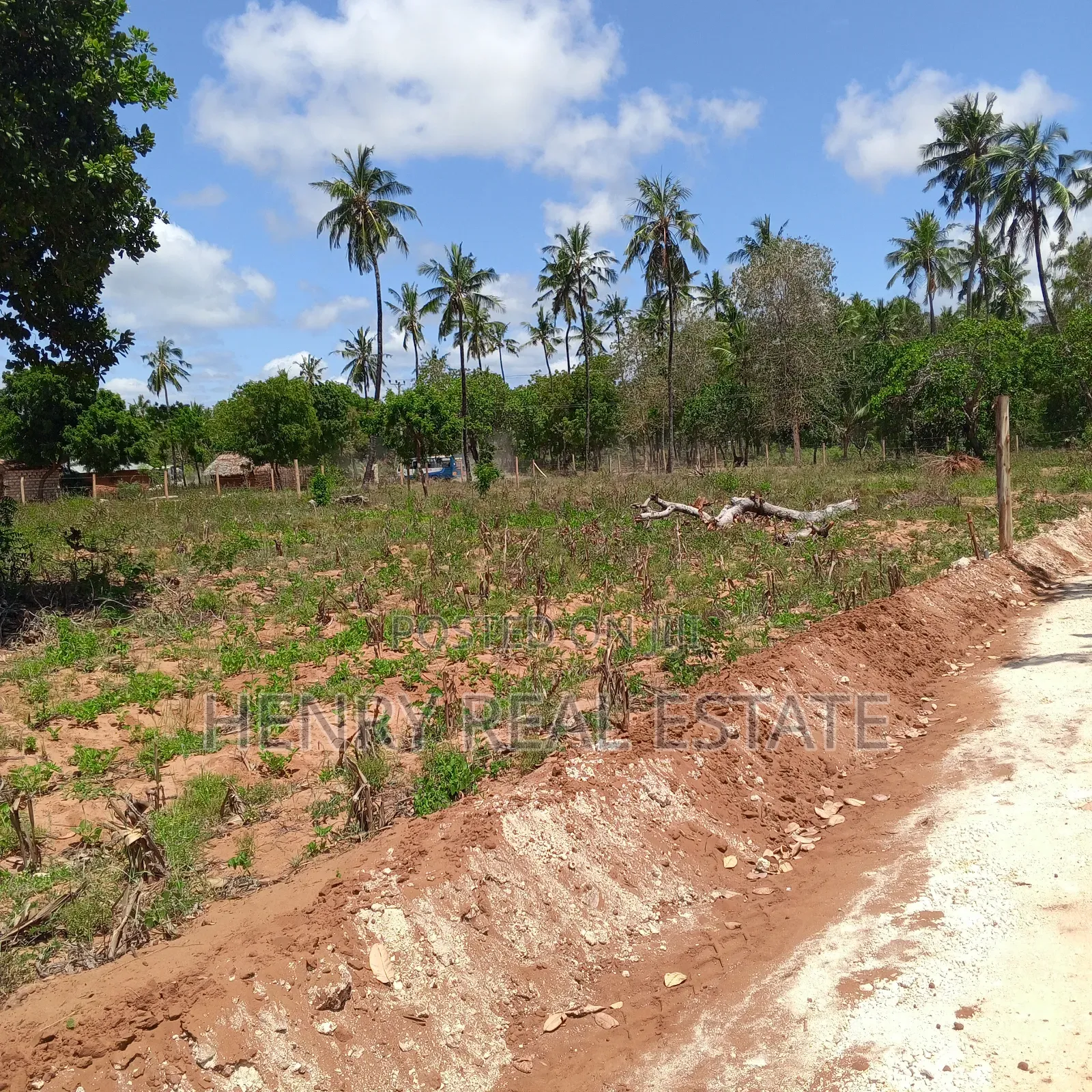 Chumani Kilifi 50 by 100 Ft Plots