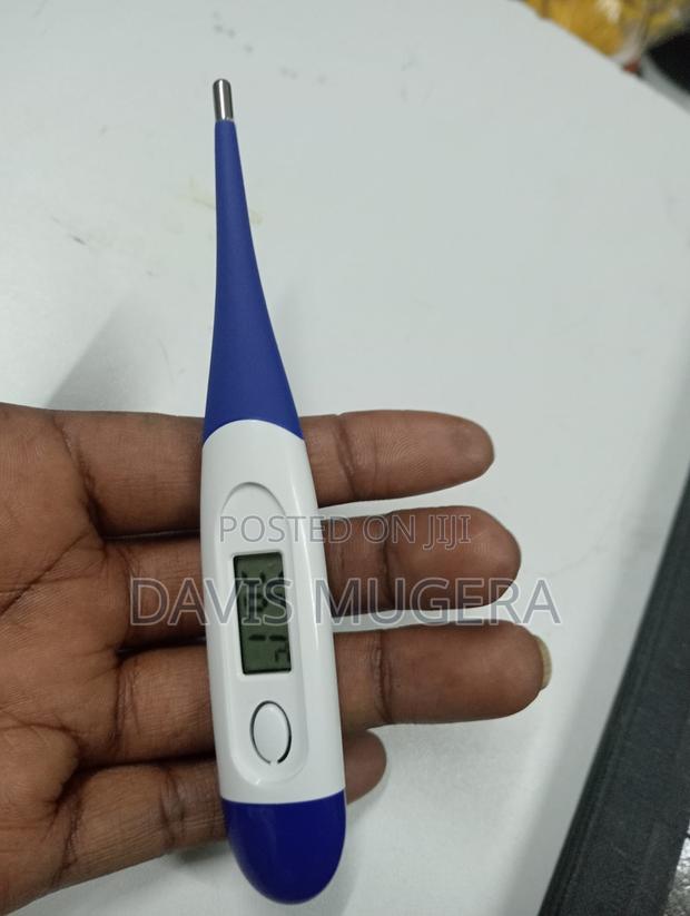Digital Thermometer - White Blue
