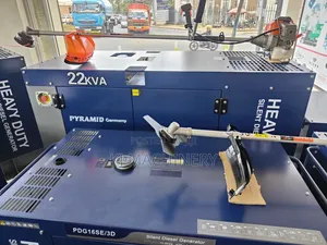Pyramid 22kva Diesel Silent Generator With Ats.