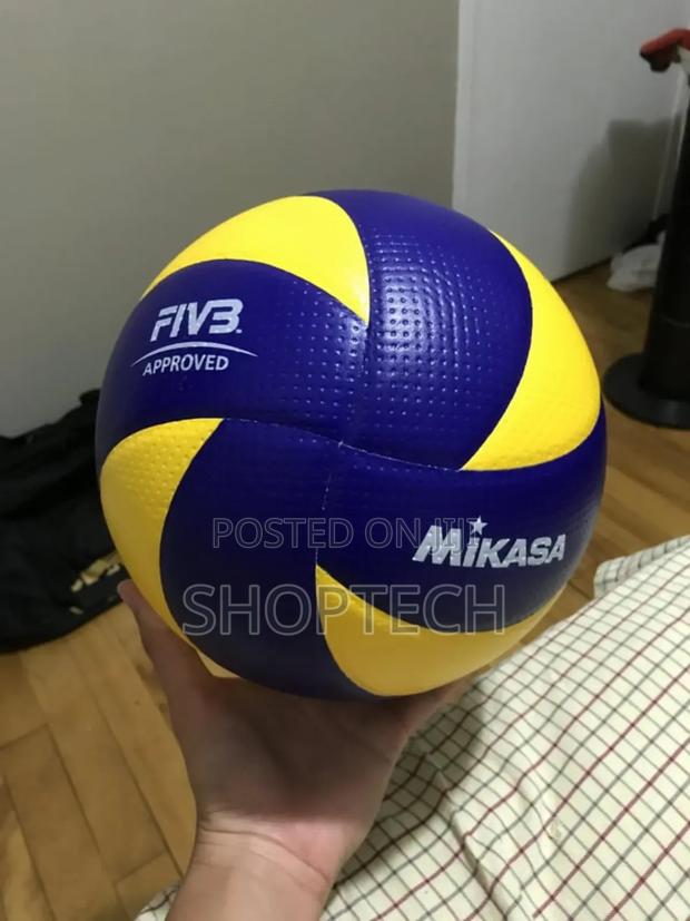 Mikasa Volleyball