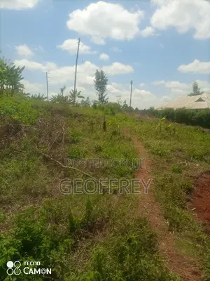 Selling 3 Acres in Gatundu Kiganjo Rd
