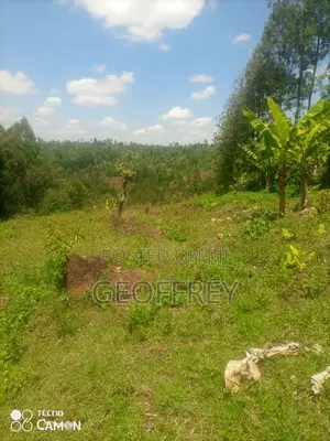 Selling 3 Acres in Gatundu Kiganjo Rd