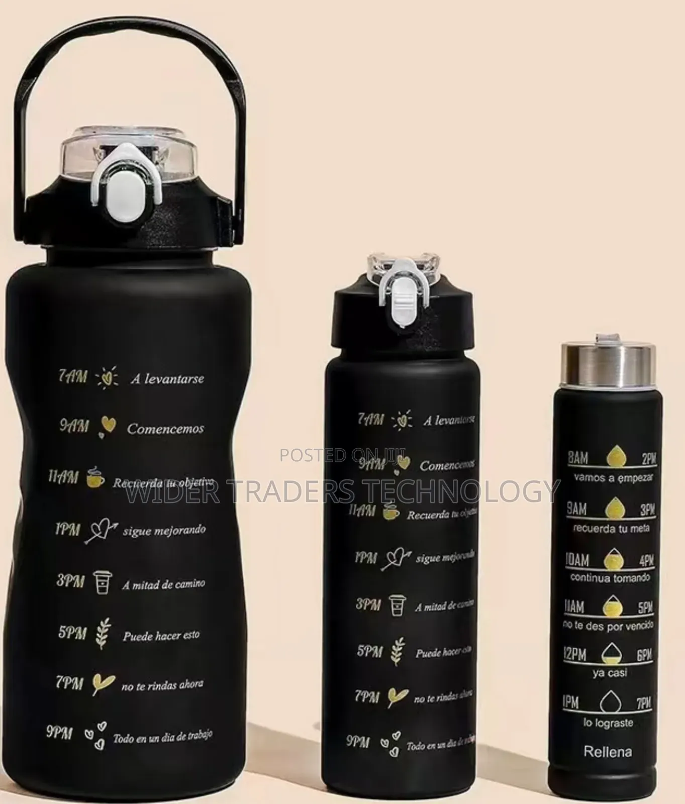 3 in 1 Motivational Water Bottle