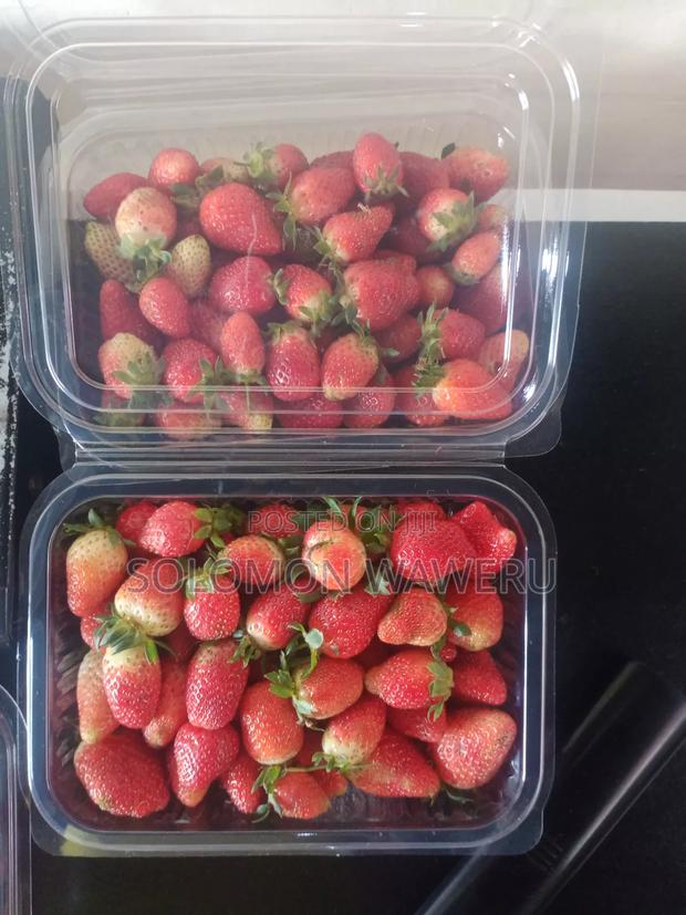 Strawberries Seedlings Available - thumbnail 4