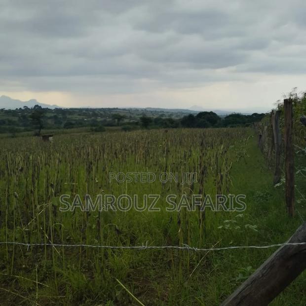 10.25 Acres for Sale in Trans-Nzoia Kapkoi Area. Clean Title