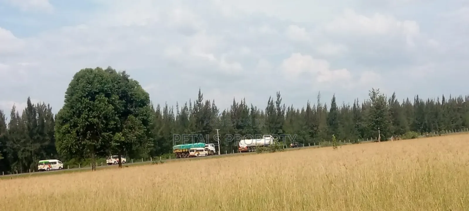 50 Acres at Ngata