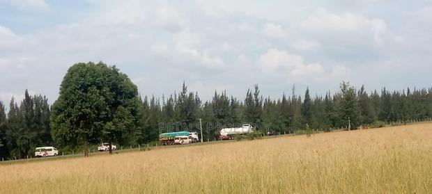 50 Acres at Ngata - thumbnail 2