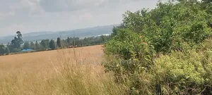 50 Acres at Ngata