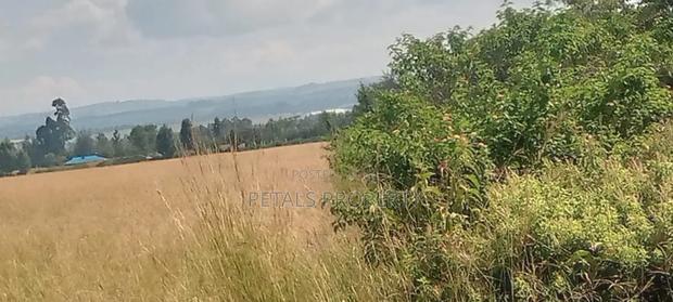 50 Acres at Ngata - thumbnail 3