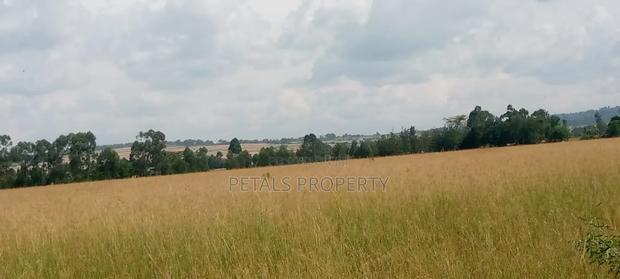 50 Acres at Ngata - thumbnail 4