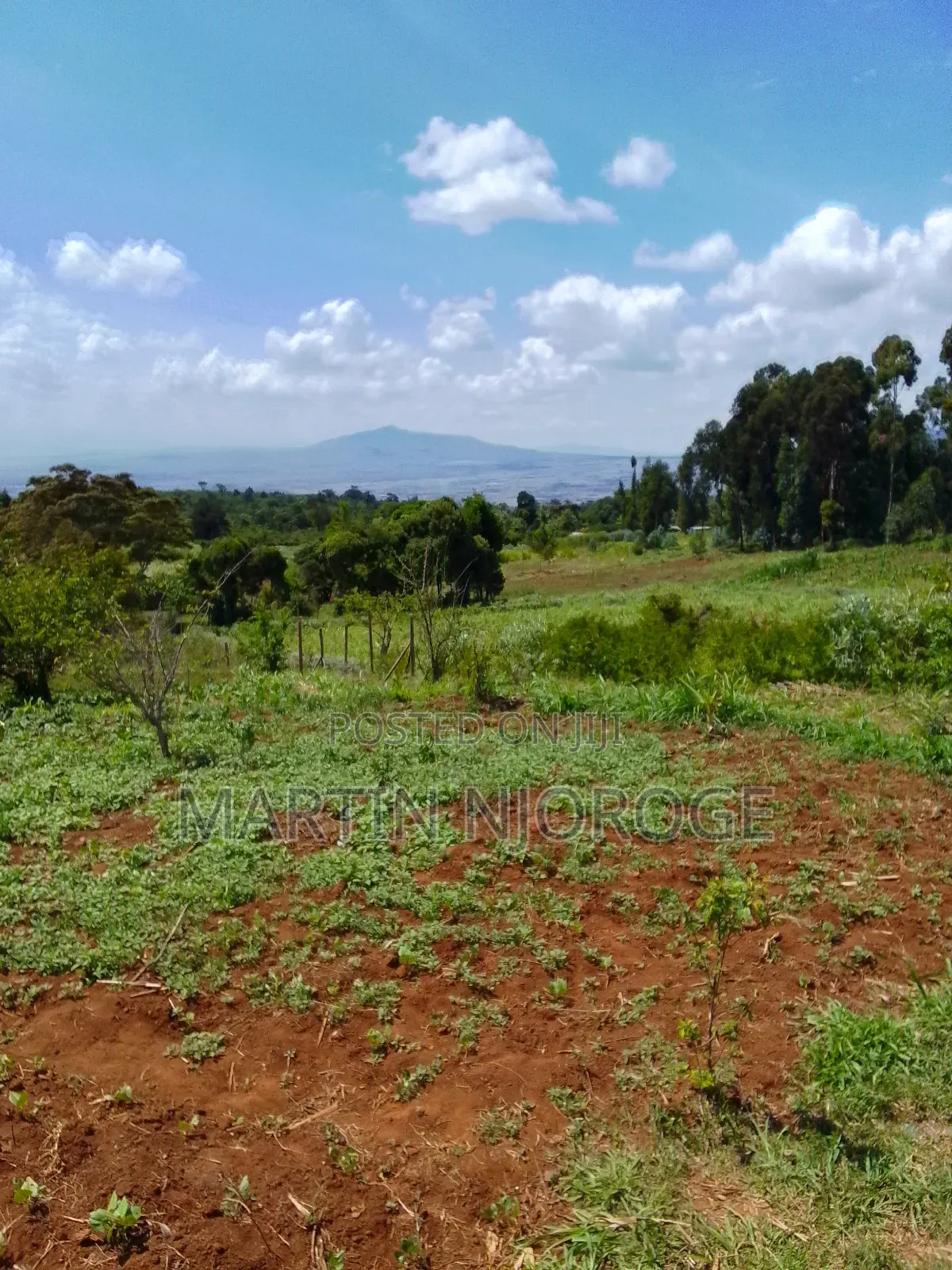 1 Acre Uplands, Gitithia