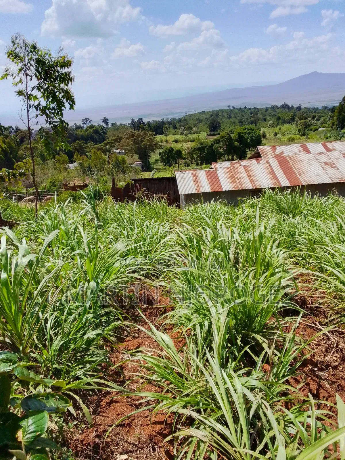 1 Acre Uplands, Gitithia