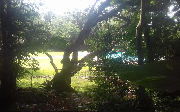 4bdrm Mansion in Nyali Mkomani for sale - thumbnail 4